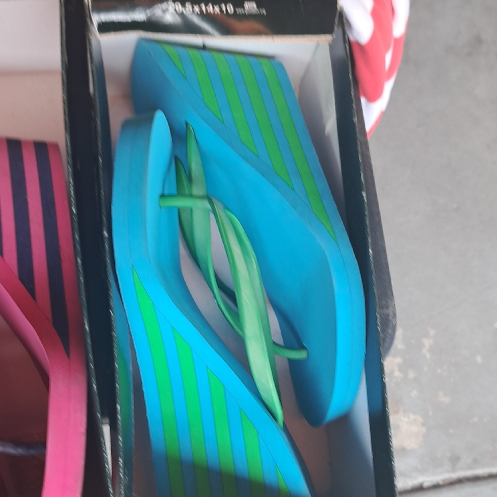 Polo by Ralph Lauren Blue and Green Flip Flops